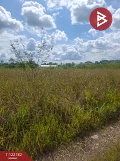 ขายที่ดินเปล่า เนื้อที่ 1 ไร่ 50 ตารางวา เวียงชัย เชียงราย