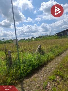 ขายที่ดินเปล่า เนื้อที่ 1 ไร่ 50 ตารางวา เวียงชัย เชียงราย-202509250949221758768562782.jpg