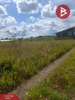 ขายที่ดินเปล่า เนื้อที่ 1 ไร่ 50 ตารางวา เวียงชัย เชียงราย-202509250949231758768563339.jpg