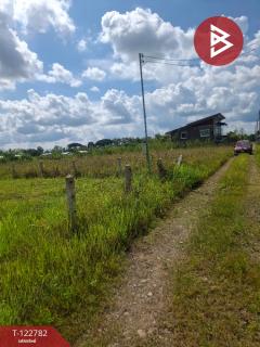 ขายที่ดินเปล่า เนื้อที่ 1 ไร่ 50 ตารางวา เวียงชัย เชียงราย-202509250949231758768563891.jpg