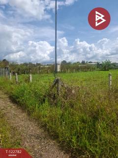 ขายที่ดินเปล่า เนื้อที่ 1 ไร่ 50 ตารางวา เวียงชัย เชียงราย-202509250949261758768566067.jpg