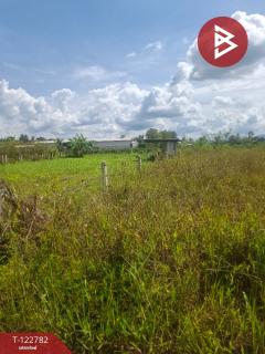 ขายที่ดินเปล่า เนื้อที่ 1 ไร่ 50 ตารางวา เวียงชัย เชียงราย-202509250949261758768566612.jpg