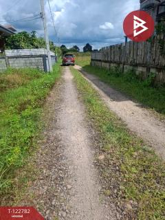 ขายที่ดินเปล่า เนื้อที่ 1 ไร่ 50 ตารางวา เวียงชัย เชียงราย-202509250949271758768567159.jpg