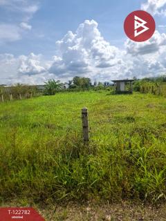 ขายที่ดินเปล่า เนื้อที่ 1 ไร่ 50 ตารางวา เวียงชัย เชียงราย-202509250949271758768567713.jpg