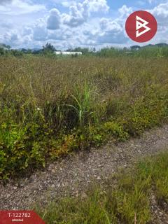 ขายที่ดินเปล่า เนื้อที่ 1 ไร่ 50 ตารางวา เวียงชัย เชียงราย-202509250949281758768568262.jpg