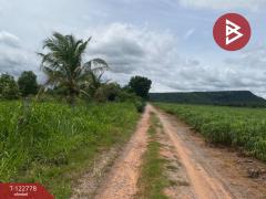 ขายที่ดินเปล่า เนื้อที่ 1 ไร่ 3 งาน สีคิ้ว นครราชสีมา