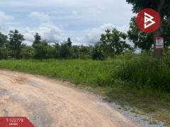 ขายที่ดินเปล่า เนื้อที่ 1 ไร่ 3 งาน สีคิ้ว นครราชสีมา-202509251022331758770553900.jpg