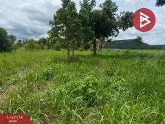 ขายที่ดินเปล่า เนื้อที่ 1 ไร่ 3 งาน สีคิ้ว นครราชสีมา-202509251022341758770554435.jpg