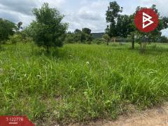 ขายที่ดินเปล่า เนื้อที่ 1 ไร่ 3 งาน สีคิ้ว นครราชสีมา-202509251022351758770555914.jpg