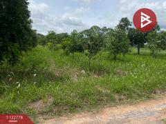 ขายที่ดินเปล่า เนื้อที่ 1 ไร่ 3 งาน สีคิ้ว นครราชสีมา-202509251022361758770556462.jpg