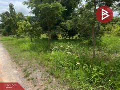 ขายที่ดินเปล่า เนื้อที่ 1 ไร่ 3 งาน สีคิ้ว นครราชสีมา-202509251022371758770557521.jpg