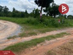 ขายที่ดินเปล่า เนื้อที่ 1 ไร่ 3 งาน สีคิ้ว นครราชสีมา-202509251022381758770558583.jpg