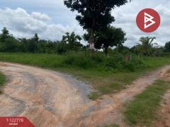 ขายที่ดินเปล่า เนื้อที่ 1 ไร่ 3 งาน สีคิ้ว นครราชสีมา-202509251022391758770559111.jpg