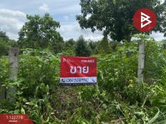 ขายที่ดินเปล่า เนื้อที่ 1 ไร่ 3 งาน สีคิ้ว นครราชสีมา-202509251022391758770559641.jpg