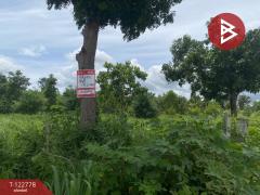 ขายที่ดินเปล่า เนื้อที่ 1 ไร่ 3 งาน สีคิ้ว นครราชสีมา-202509251022401758770560181.jpg