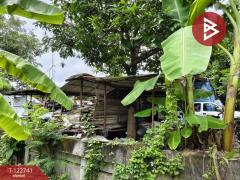 ขายที่ดินเปล่า เนื้อที่ 100 ตารางวา ต.บางกระสอบ อ.พระประแดง จ.สมุทรปราการ-202509251203231758776603722.jpg