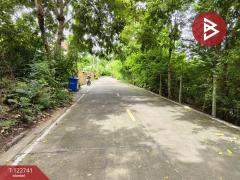 ขายที่ดินเปล่า เนื้อที่ 100 ตารางวา ต.บางกระสอบ อ.พระประแดง จ.สมุทรปราการ-202509251203251758776605412.jpg