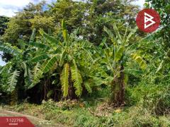 ขายที่ดิน หมู่บ้านธารารมณ์ รามคำแหง150 เนื้อที่ 77 ตร.วา บางกะปิ กรุงเทพมหานคร-202509251225481758777948197.jpg