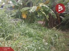 ขายที่ดิน หมู่บ้านธารารมณ์ รามคำแหง150 เนื้อที่ 77 ตร.วา บางกะปิ กรุงเทพมหานคร-202509251225491758777949329.jpg