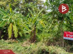 ขายที่ดิน หมู่บ้านธารารมณ์ รามคำแหง150 เนื้อที่ 77 ตร.วา บางกะปิ กรุงเทพมหานคร-202509251225491758777949892.jpg