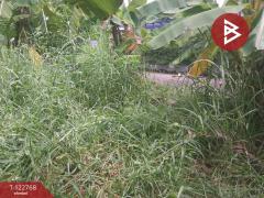 ขายที่ดิน หมู่บ้านธารารมณ์ รามคำแหง150 เนื้อที่ 77 ตร.วา บางกะปิ กรุงเทพมหานคร-202509251225501758777950472.jpg