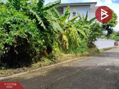 ขายที่ดิน หมู่บ้านธารารมณ์ รามคำแหง150 เนื้อที่ 77 ตร.วา บางกะปิ กรุงเทพมหานคร-202509251225521758777952470.jpg