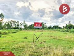 ขายที่ดิน เนื้อที่ 2 งาน 43.6 ตร.วา ดงลาน ร้อยเอ็ด