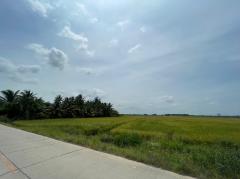 ขายที่ดินเปล่า ย่านคลองอุดมชลจร ( สีม่วง) ขนาด 20 ไร่ 87.4 ตารางวา ใกล้ตลาดปองพล เพียง 7 กิโลเมตร อำเภอเมืองฉะเชิงเทรา จังหวัดฉะเชิงเทรา-202509251319261758781166200.jpg