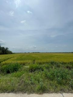 ขายที่ดินเปล่า ย่านคลองอุดมชลจร ( สีม่วง) ขนาด 20 ไร่ 87.4 ตารางวา ใกล้ตลาดปองพล เพียง 7 กิโลเมตร อำเภอเมืองฉะเชิงเทรา จังหวัดฉะเชิงเทรา-202509251319261758781166750.jpg