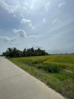 ขายที่ดินเปล่า ย่านคลองอุดมชลจร ( สีม่วง) ขนาด 20 ไร่ 87.4 ตารางวา ใกล้ตลาดปองพล เพียง 7 กิโลเมตร อำเภอเมืองฉะเชิงเทรา จังหวัดฉะเชิงเทรา-202509251319271758781167332.jpg