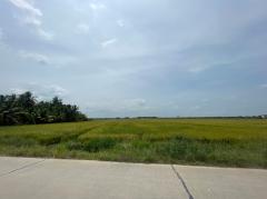 ขายที่ดินเปล่า ย่านคลองอุดมชลจร ( สีม่วง) ขนาด 20 ไร่ 87.4 ตารางวา ใกล้ตลาดปองพล เพียง 7 กิโลเมตร อำเภอเมืองฉะเชิงเทรา จังหวัดฉะเชิงเทรา-202509251319281758781168456.jpg