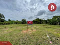 ขายที่ดิน เนื้อที่ 3 งาน 20 ตร.วา บ้านไผ่ ขอนแก่น