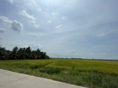 ขายที่ดินเปล่า ย่านคลองอุดมชลจร ( สีม่วง) ขนาด 20 ไร่ 87.4ตารางวา ใกล้ตลาดปองพล เพียง 7 กิโลเมตร อำเภอเมืองฉะเชิงเทรา จังหวัดฉะเชิงเทรา-202509251358081758783488982.jpg