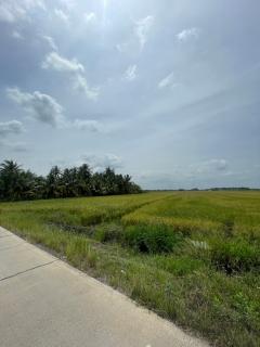 ขายที่ดินเปล่า ย่านคลองอุดมชลจร ( สีม่วง) ขนาด 20 ไร่ 87.4ตารางวา ใกล้ตลาดปองพล เพียง 7 กิโลเมตร อำเภอเมืองฉะเชิงเทรา จังหวัดฉะเชิงเทรา-202509251358131758783493405.jpg