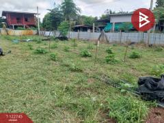 ขายที่ดินแปลงสวย เนื้อที่ 383 ตารางวา ต.หาดกรวด อุตรดิตถ์-202509251413491758784429243.jpg