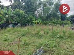 ขายที่ดินแปลงสวย เนื้อที่ 383 ตารางวา ต.หาดกรวด อุตรดิตถ์-202509251413491758784429783.jpg