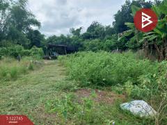 ขายที่ดินแปลงสวย เนื้อที่ 383 ตารางวา ต.หาดกรวด อุตรดิตถ์-202509251413501758784430329.jpg