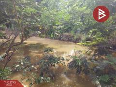 ขายที่ดินแปลงสวย เนื้อที่ 383 ตารางวา ต.หาดกรวด อุตรดิตถ์-202509251413501758784430868.jpg