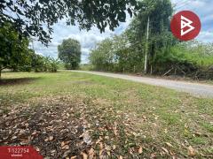 ขายด่วนที่ดินเปล่า-เนื้อที่-6-ไร่-2-งา