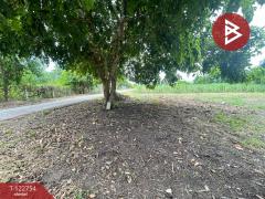 ขายด่วนที่ดินเปล่า เนื้อที่ 6 ไร่ 2 งาน 97 ตารางวา อ.บ้านโป่ง ราชบุรี-202509251440291758786029694.jpg