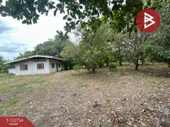 ขายด่วนที่ดินเปล่า เนื้อที่ 6 ไร่ 2 งาน 97 ตารางวา อ.บ้านโป่ง ราชบุรี-202509251440301758786030252.jpg