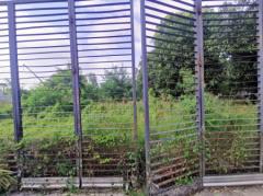 ขาย ที่ดิน หลังโครงการ ดิ แอมเบียนซ์ ( สายไหม 53 - 55 ) 200 ตร.วา เหมาะทำบ้านพักอาศัย-202509251900341758801634847.jpg