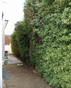 ให้เช่าบ้านเดี่ยว มบ.Centro รามอินทรา จตุโชติ 60 ตร.ว  4 นอน 3 น้ำ  (ราคาพิเศษ เฉพาะเดือนนี้)-202509252011081758805868363.jpg