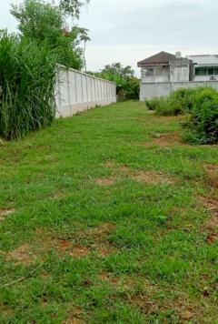 ให้เช่าถูกมาก!! ที่ดินทำเลทอง 536.9 ตร.ว. อ.หาดใหญ่ จ.สงขลา ซ.2/3 ถนนกาญจนวนิช ตรงข้ามสวนสาธารณะหาดใหญ่-202509252142301758811350611.jpg