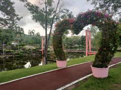 ให้เช่าถูกมาก!! ที่ดินทำเลทอง 536.9 ตร.ว. อ.หาดใหญ่ จ.สงขลา ซ.2/3 ถนนกาญจนวนิช ตรงข้ามสวนสาธารณะหาดใหญ่-202509252142331758811353686.jpg