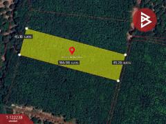 ขายที่ดิน สวนยาง เนื้อที่ 4 ไร่ 2 งาน 83 ตร.วา แสลง จันทบุรี