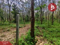 ขายที่ดิน สวนยาง เนื้อที่ 4 ไร่ 2 งาน 83 ตร.วา แสลง จันทบุรี-202509260935331758854133965.jpg