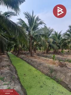 ขายที่ดิน เนื้อที่ 13 ไร่ 3 งาน 61.6 ตร.วา ปากท่อ ราชบุรี-202509260942391758854559276.jpg
