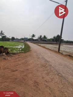 ขายที่ดิน เนื้อที่ 13 ไร่ 3 งาน 61.6 ตร.วา ปากท่อ ราชบุรี-202509260942401758854560365.jpg