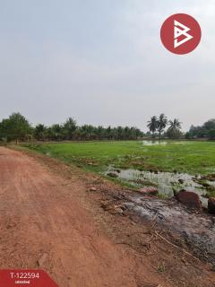 ขายที่ดิน เนื้อที่ 13 ไร่ 3 งาน 61.6 ตร.วา ปากท่อ ราชบุรี-202509260942401758854560884.jpg